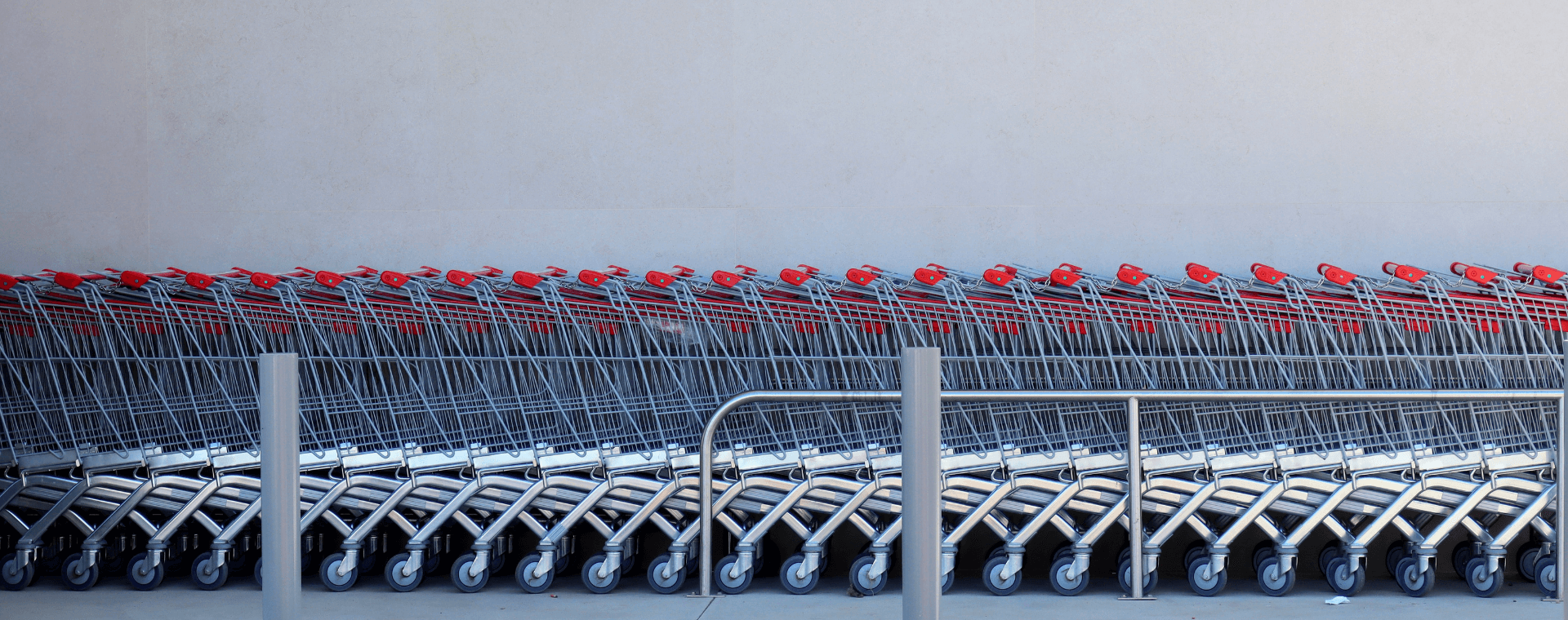 Enviro Masters Trolley Collection